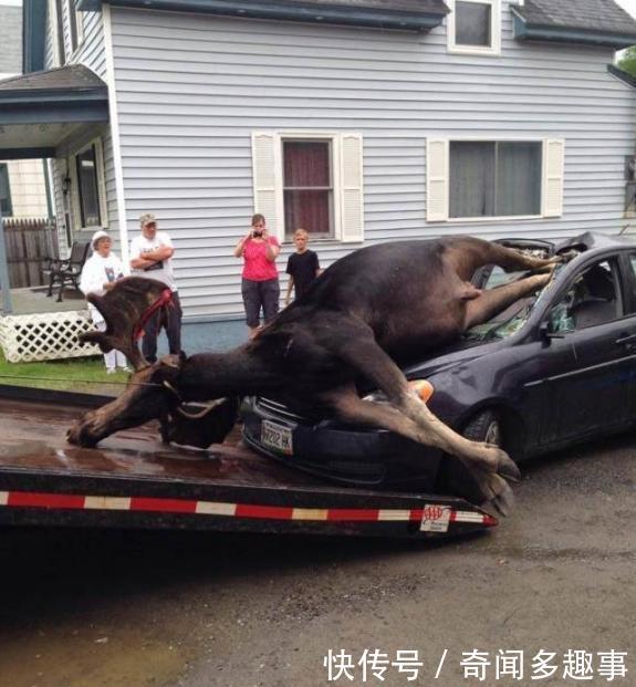 男子马路上飙车,突然天降横祸将车砸烂,场面令人惊讶