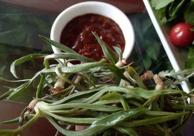 2018沧州最全挖野菜攻略,让你一口吃出春天的味道!