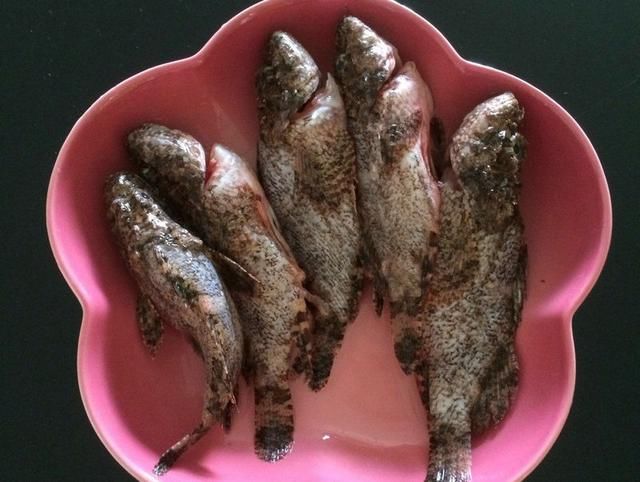 1,石崇鱼