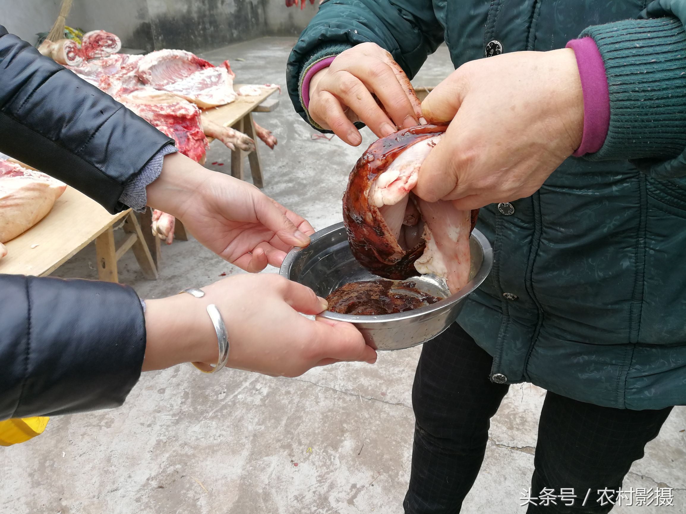 邻居家杀猪,发现了百年难遇的宝贝-猪砂,有的人一辈子