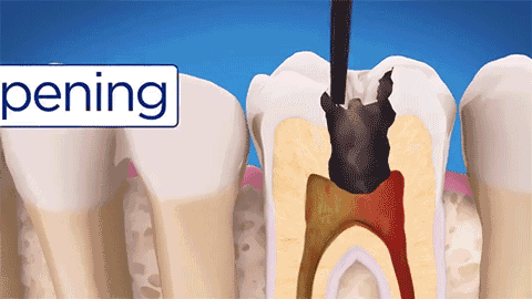 480_270 gif 动态图 动图