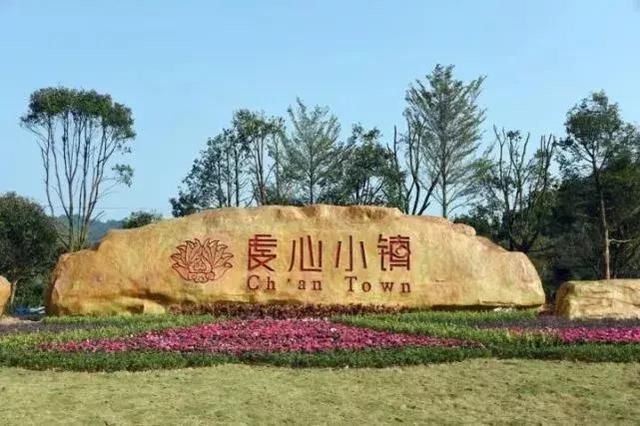 是攻略首个茶旅生存的生态旅游我国小镇.rust结合特色图片