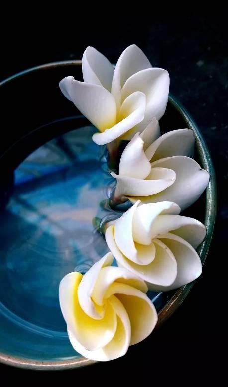 太宁随缘住,来途若梦行.浮天沧海远,去世法舟轻.上国小学图片