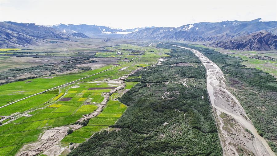 风沙地里"长出"绿色家园-西藏山南隆子县53年造林治沙记