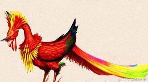 重明鸟 重明鸟是中国古代神话传说中的神鸟.