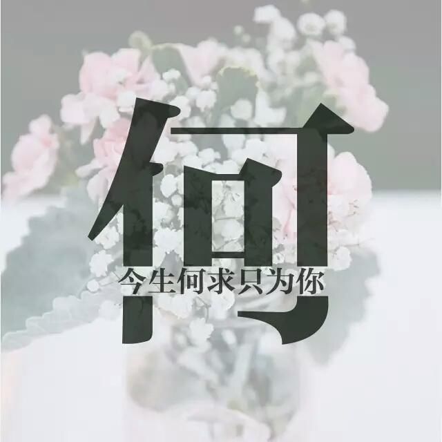 赶紧带走你要的姓氏头像我这快留不住了32的手机内存都快爆了
