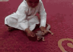 爆笑gif图:小螺号,滴滴的吹,哥哥看了也想吹!