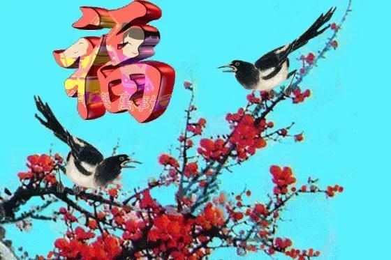 (图片来自网络,谢谢朋友!)