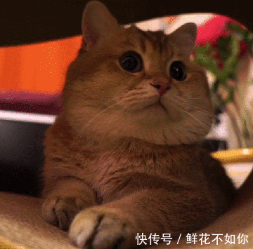 爆��gif动图:姑娘回去吧!我担心风会把你吹飞