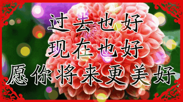 心有美景,人生风情万种 - 伊风的日志 - 网易博客