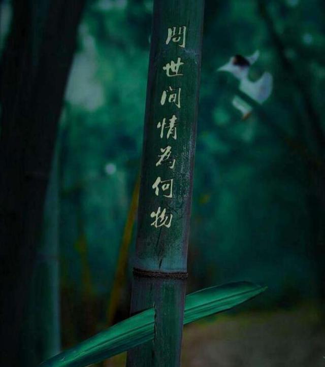 问世间情为何物?这篇诗歌让你大彻大悟!
