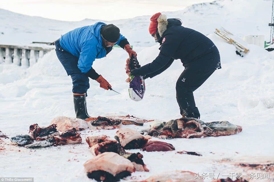12张罕见照片,爱斯基摩人零下35度在格陵兰岛的冰山上