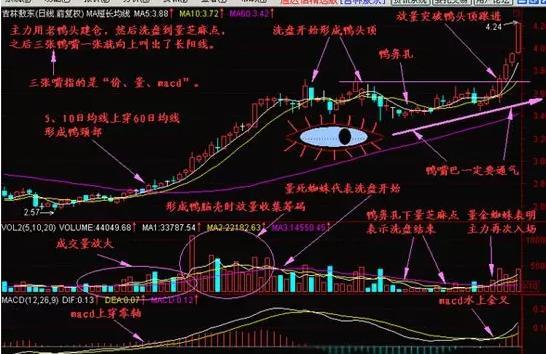 股天才专做老鸭头形态,看懂玩弄股市于手掌!