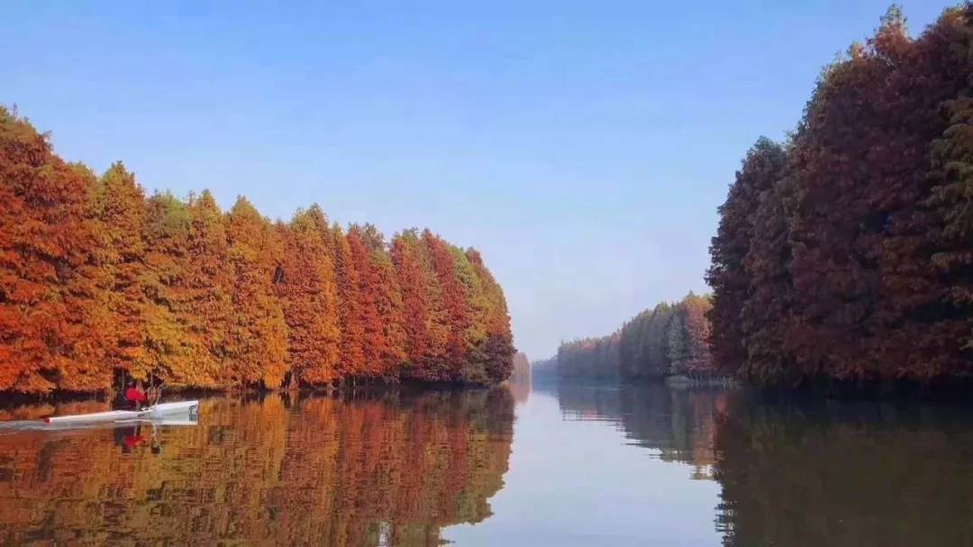 奉贤海湾森林公园,新年第一游