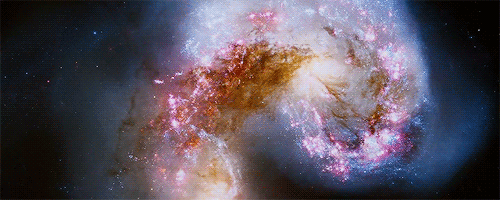 搞笑gif图:公司老板说我最近工作辛苦,帮我捏捏肩