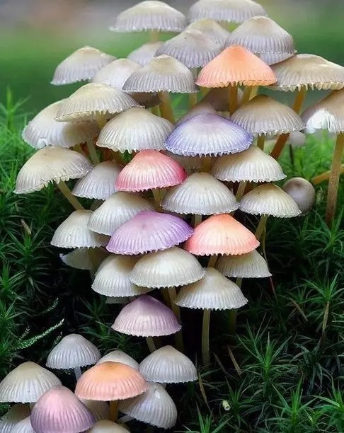 老公梦见我生了男孩,梦境与现实,解读梦境中的预兆与心理映射 老公梦见我生了男孩,梦境与现实,解读梦境中的预兆与心理映射