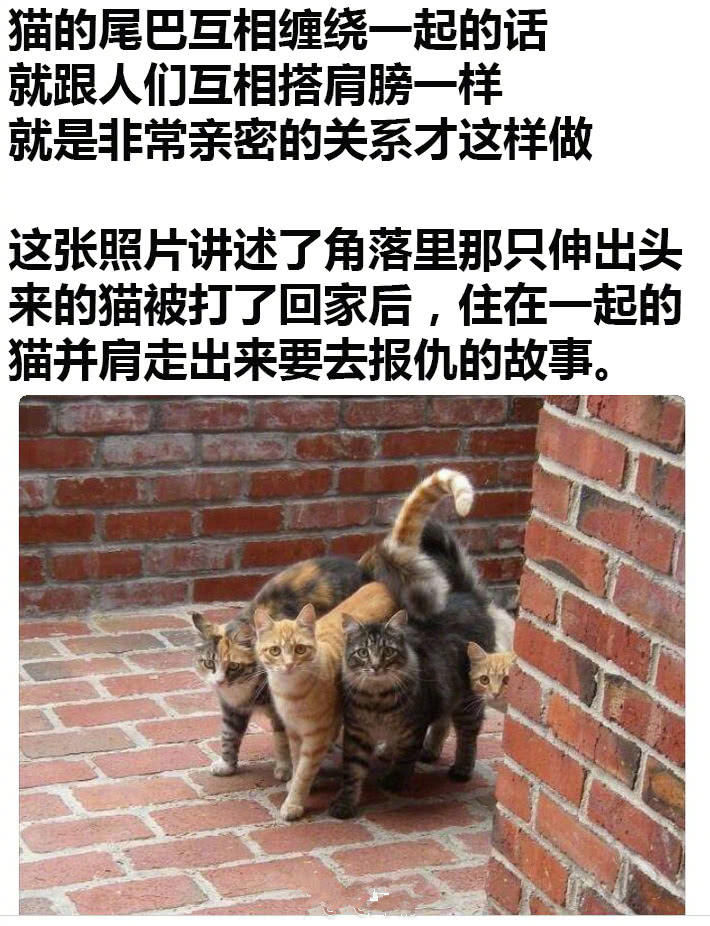 谢谢观看~天天趣图祝您开心快乐每一天!