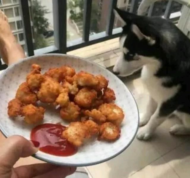 为什么我老是梦到自己掉牙齿? 为什么我老是梦到自己掉牙齿?