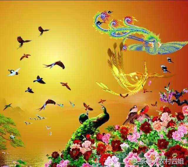 非常罕见的百鸟朝凤图,象征吉祥如意!谁打开谁