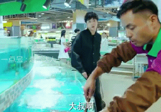 你知道甲鱼, 王八,鳖之间的区别吗?