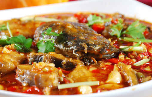 胡子鱼又叫鲶鱼,它的肉嫩味美,食用方法也有许多