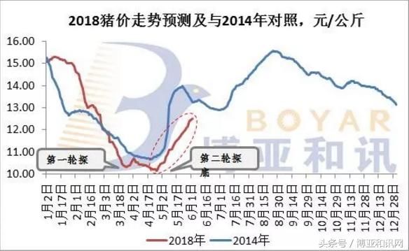 全国猪价将破11奔12,能否抓住行情?当前市场的几个变化要注意