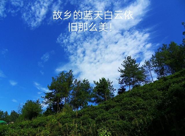 远离故乡,驰骋江湖 在岁月的洪流中 故乡渐渐已回不去 那故乡的原