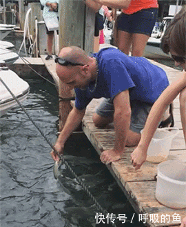 搞笑gif:这样的开车技术,不是老司机都开不出来这样的