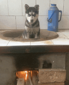 搞笑gif:这水太烫了,我吹吹再喝