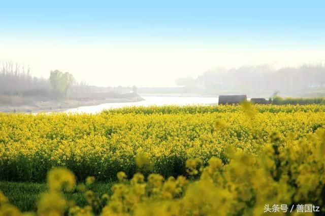 2018欢乐滕州嘉年华官桥镇第二届历史文化旅游节油菜花节开幕