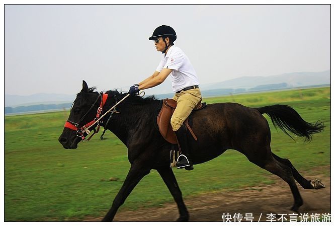 求骑马吗表情包分享展示