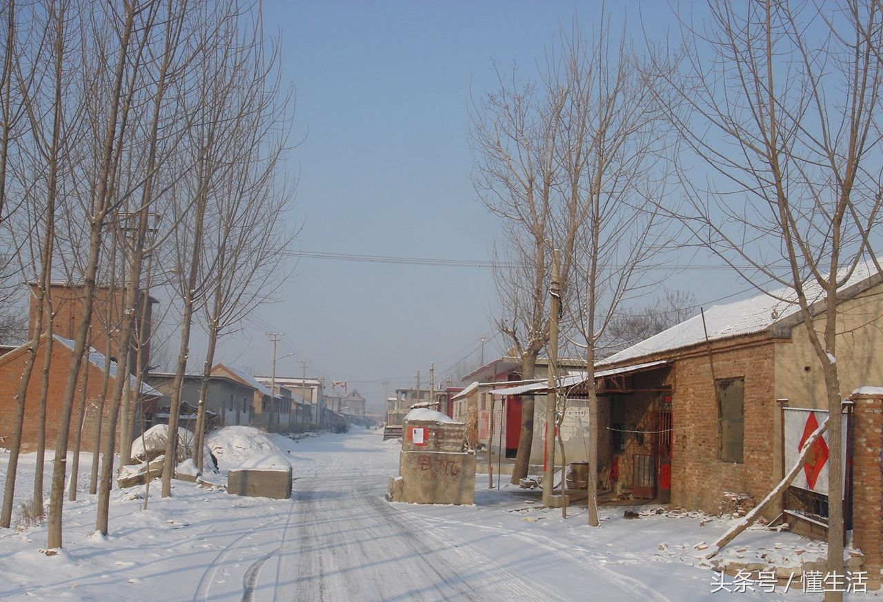 北方农村今年第一场雪,早上的场景实在太美,看完你想