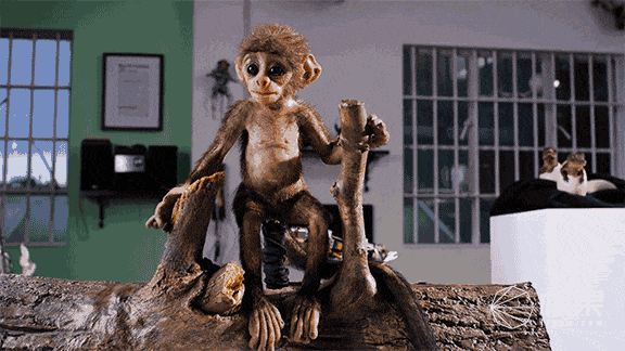 历时12年,这家公司居然造出了半个动物世界!