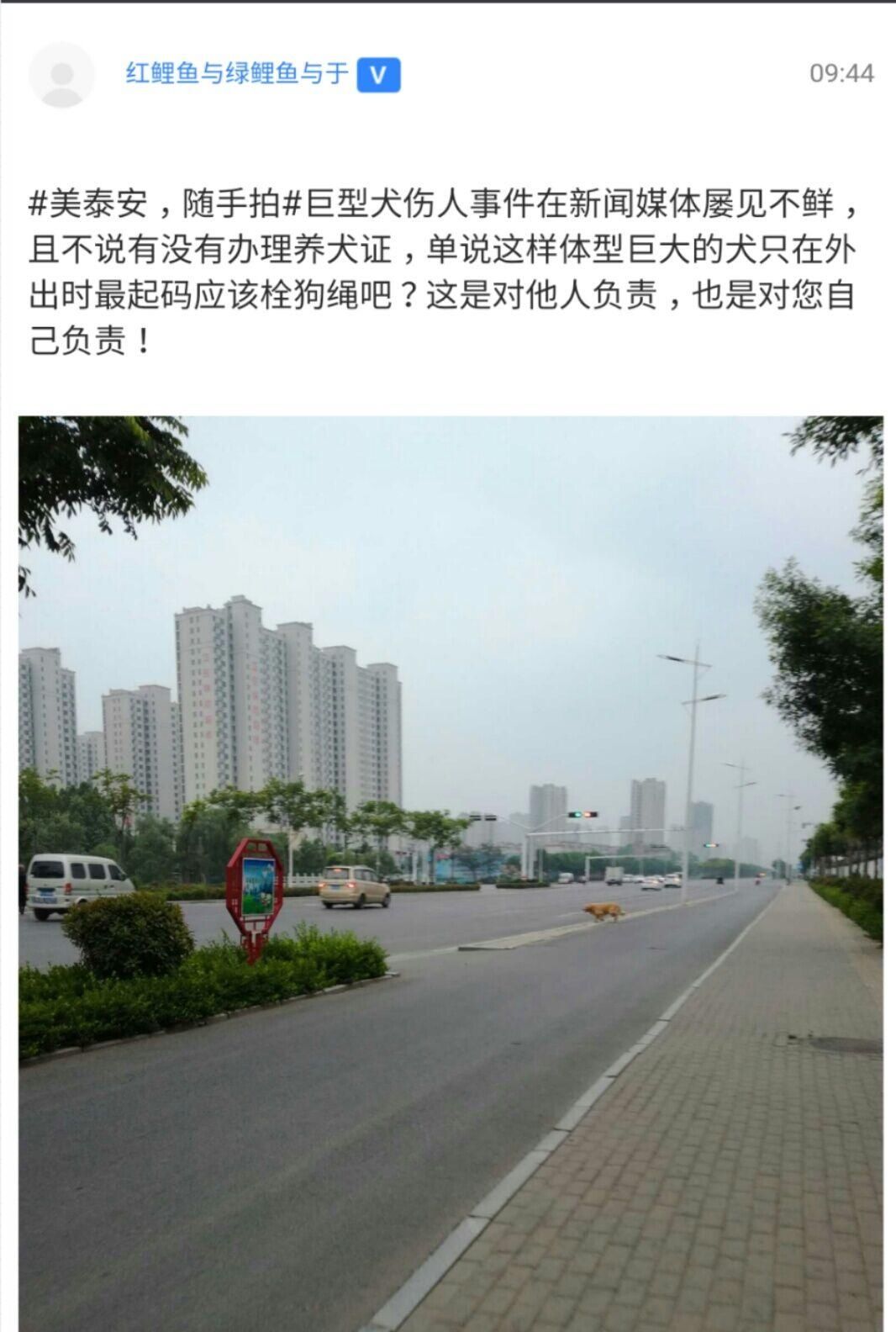 【美泰安,随手拍】市民动起来,共创文明城