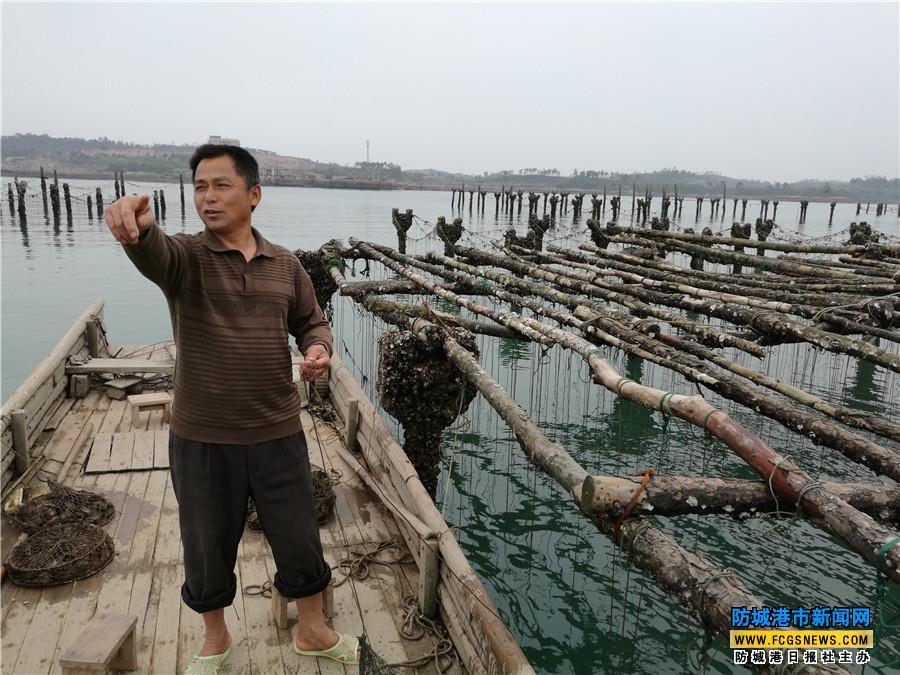 詹军:白龙珍珠港最后养珠人