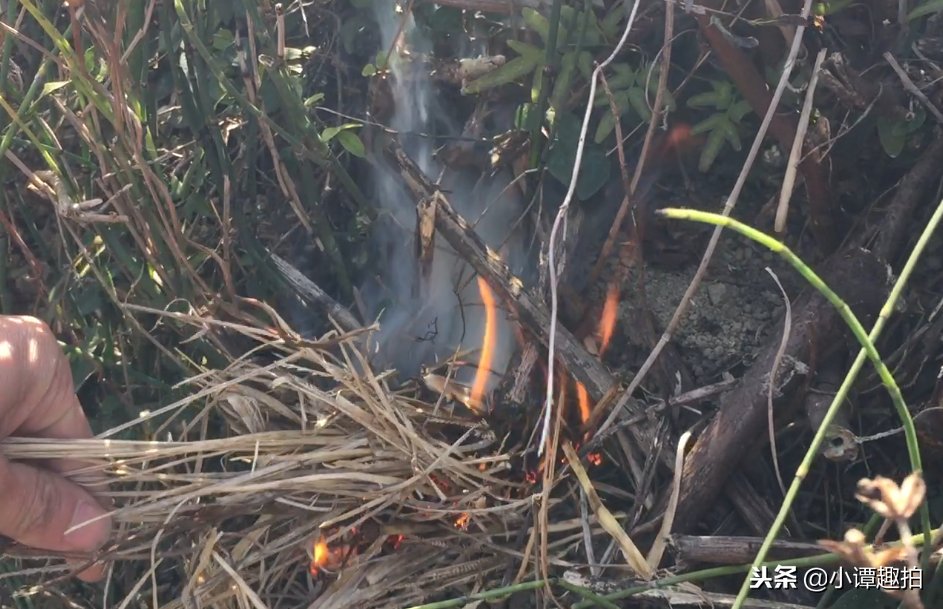 想吃野味了!农村小伙野外用这样的土办法,没想到抓住大货了