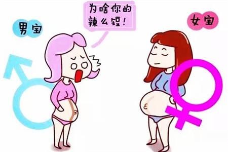 掌握这几招,孩子不用生下来就知道性别,速看!