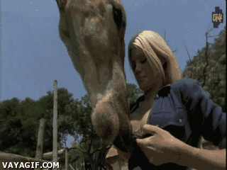 搞笑gif:当一个女人寂寞的时候什么东西都可以玩?