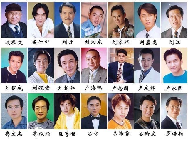 香港tvb240位男演员,能认识一般的都是港剧大神,蔡国庆也在其中