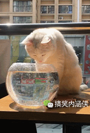 搞笑gif趣图 第一次觉得裙子不如短亢妹看