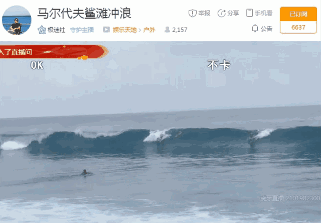 鲨滩冲浪,3,4米高的大浪你见过吗?