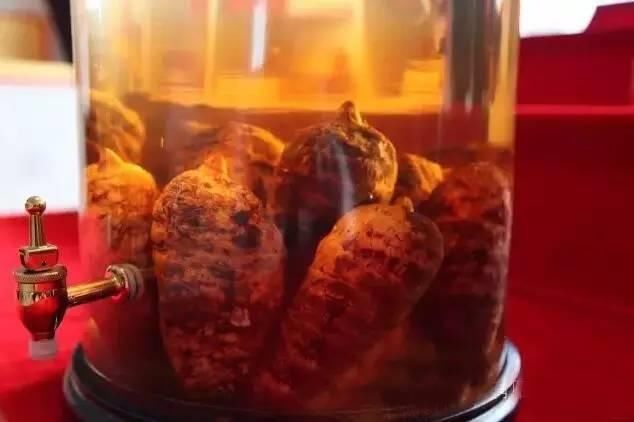 天麻泡酒的功效与作用 天麻砖家