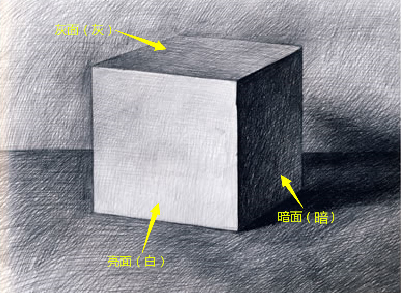 如何学素描——什么是三大面五大调子?