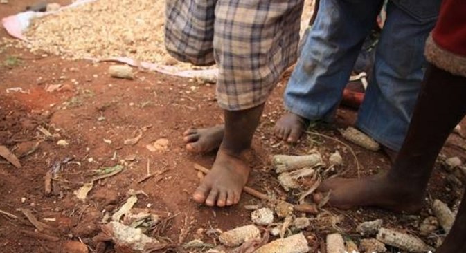 原来是这里有一种叫做沙蚤的虫子,当非洲人赤脚走路时,它们便趁机钻进