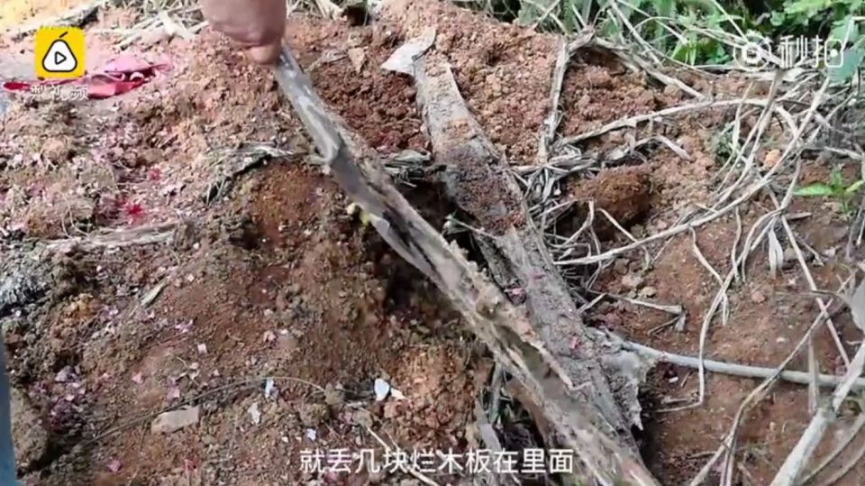 可恶!广西南宁多具女尸下葬后被人挖走,连棺材都不剩!
