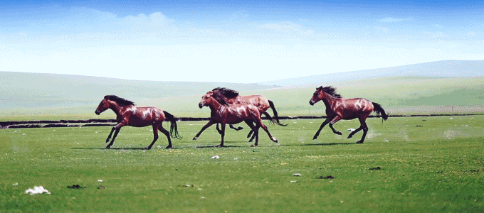 误区一: 导游不是万能的 你是做什么的? ——做旅游的啊!