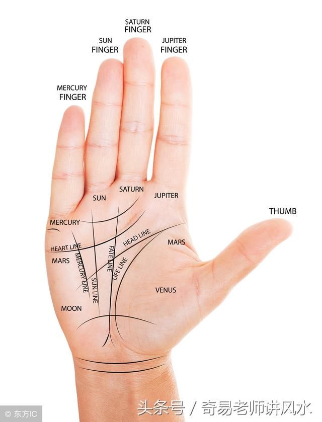 知道一个人一生的财运怎么从手相中看出吗?可惜不是每个人都有.