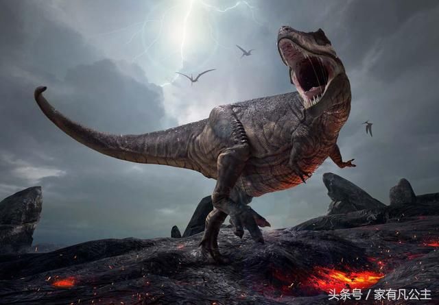 恐龙是怎么灭绝的,科学家关于恐龙灭绝的猜想