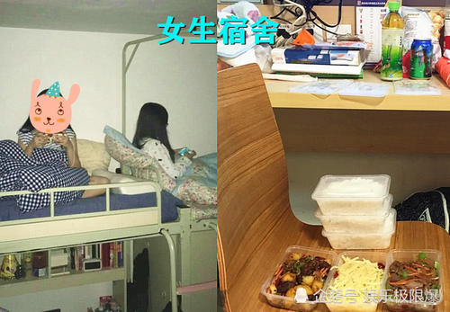 "最真实"男生寝室vs女生寝室,看完后,网友:谁让说实话的?