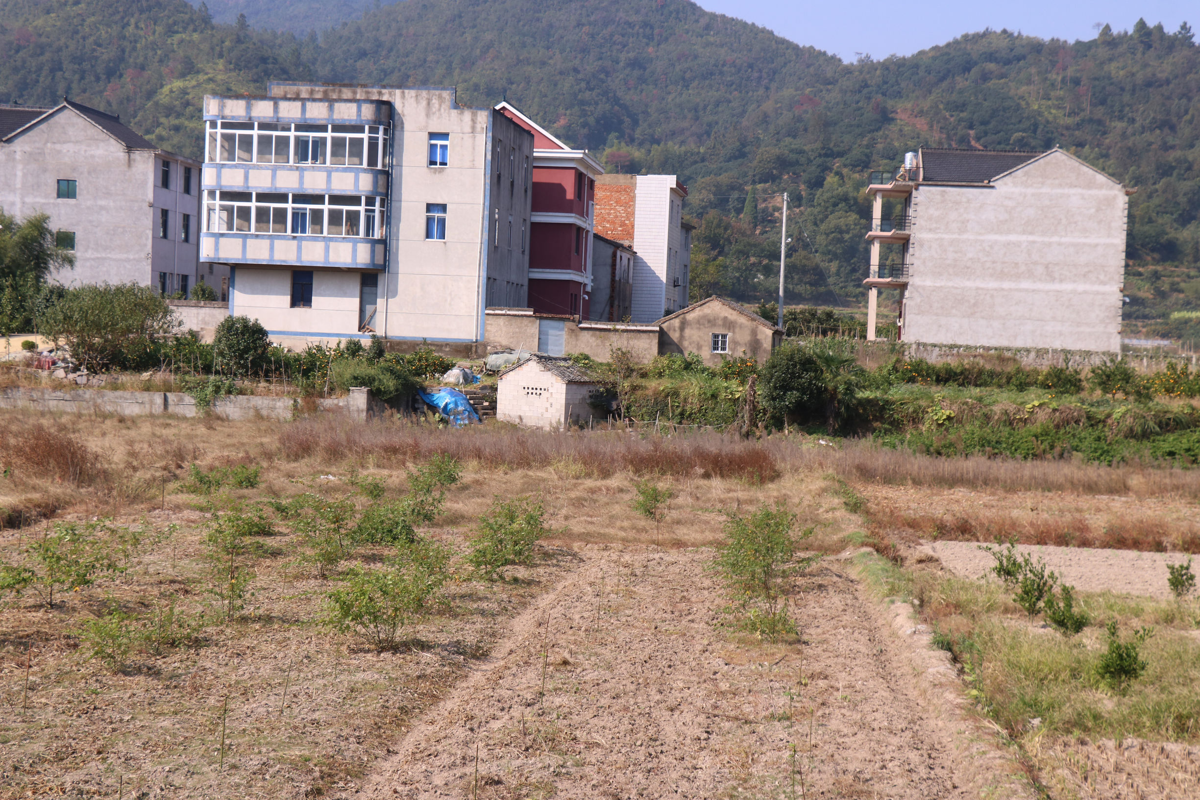 浙江省临海市小芝镇农村